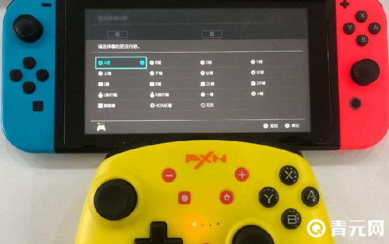 ns的手柄可以连接手柄吗游戏截图