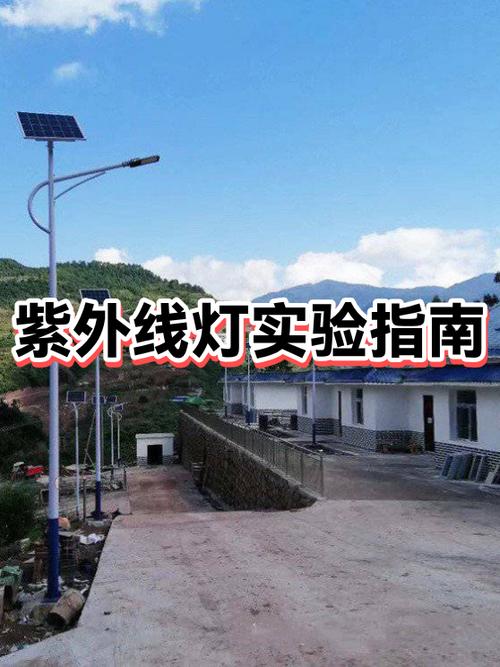 验钞紫光灯有辐射吗游戏截图