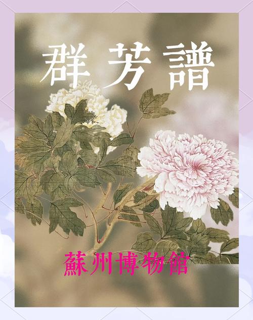 娇艳都市群芳谱TXT下载最新章节列表缩略图