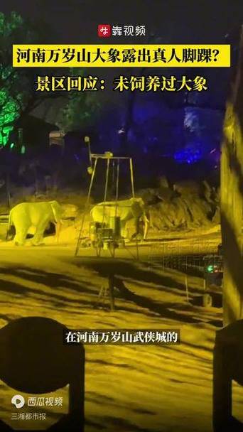 河南大象的现状缩略图
