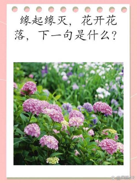 刘小念短篇小说《缘分》全文缩略图