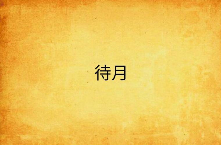 待月小说免费阅读游戏截图