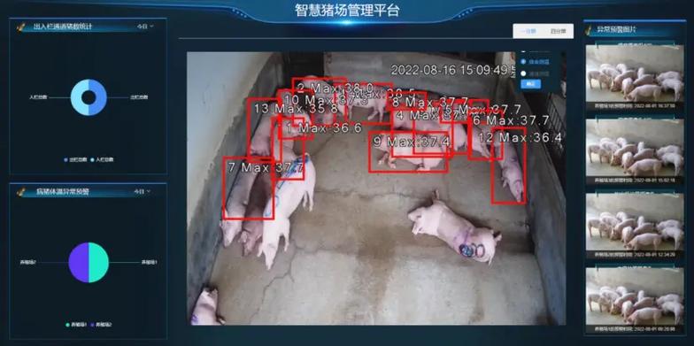 智慧养猪场缩略图