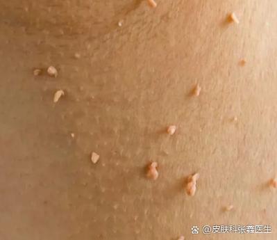 体验服是不是什么皮肤都能用游戏截图