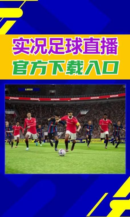 黑白直播足球直播免费观看图标