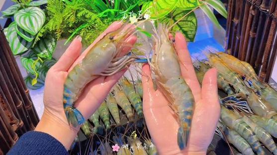 蓝海盛宴缩略图