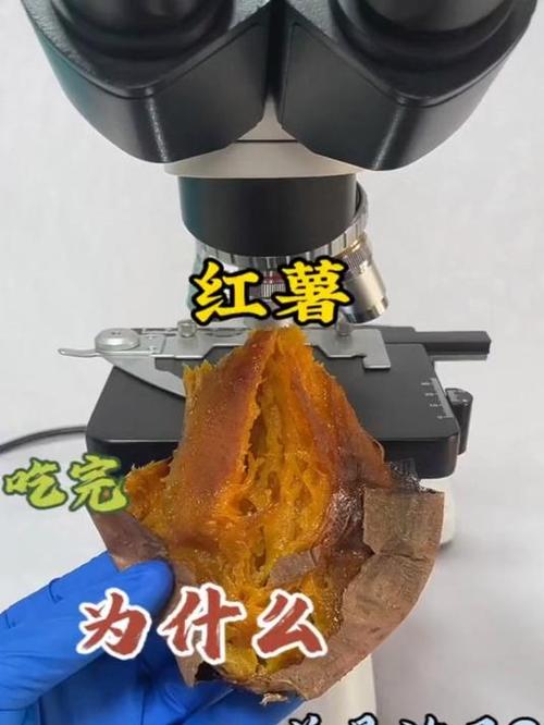 小雨吃红薯放屁搞笑视频缩略图