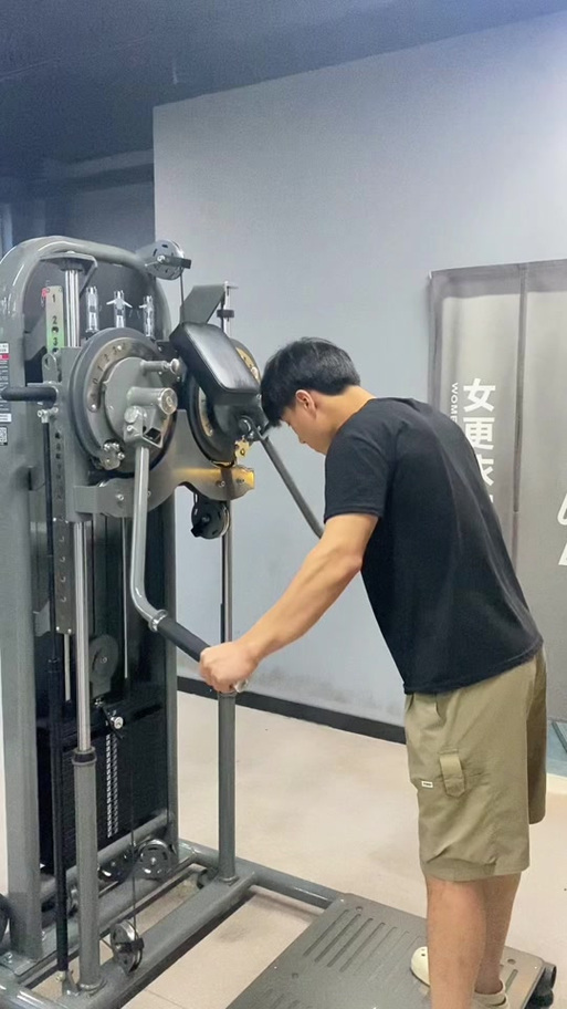 小飞鸟训练器练什么缩略图