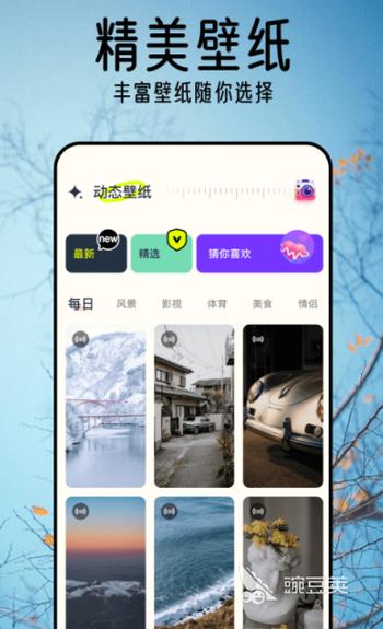 live壁纸APP缩略图