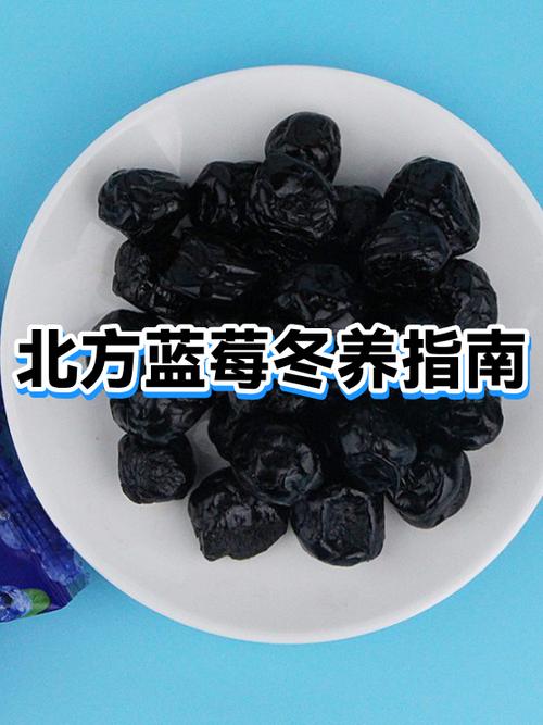吃蓝莓的季节缩略图