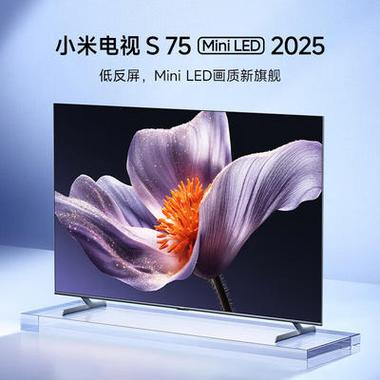 小米电视哪款屏幕最好缩略图