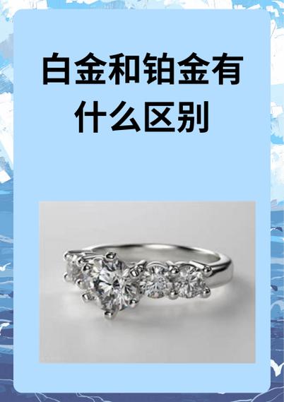 美团铂金和白金的区别缩略图