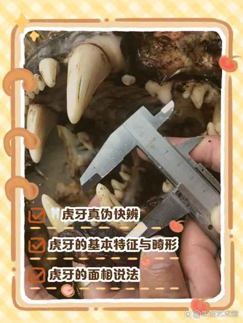 虎牙直播观看回放步骤缩略图