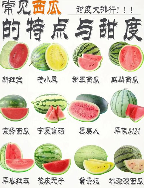 西瓜是什么颜色缩略图
