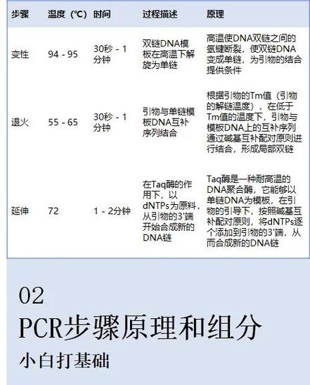 pcr两步法和三步法