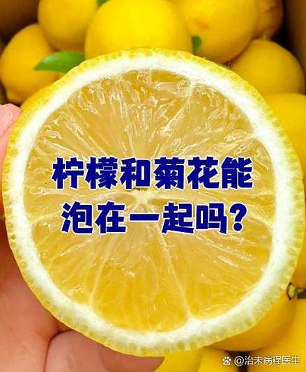 柠檬片配菊花的效果缩略图