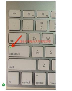 苹果笔记本字母大小写切换键缩略图