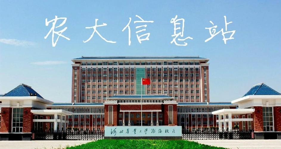 河北农业大学教务系统入口游戏截图