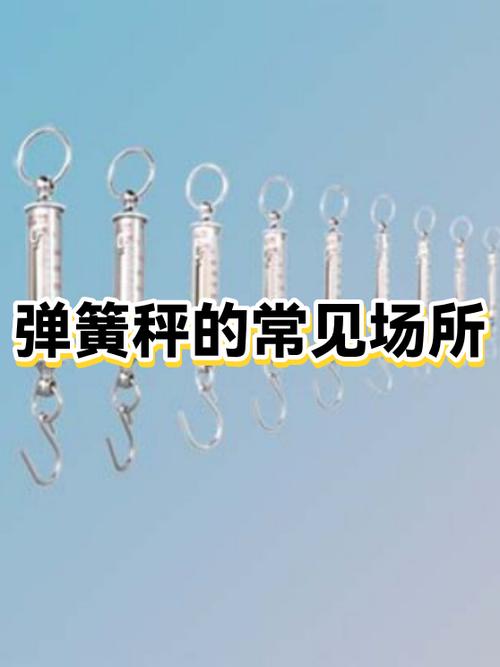 弹簧秤多少钱一个缩略图