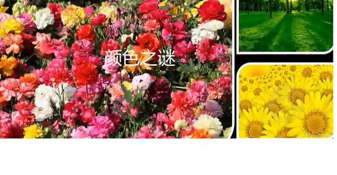 被拉黑是绿色还是蓝色缩略图