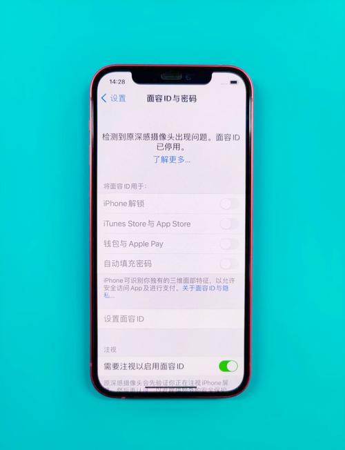 苹果12面容突然用不了游戏截图
