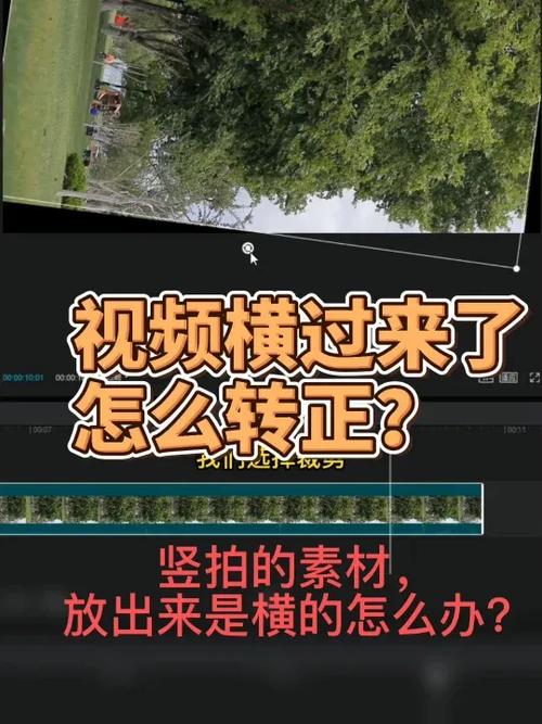 横着拍的视频怎样调竖着缩略图
