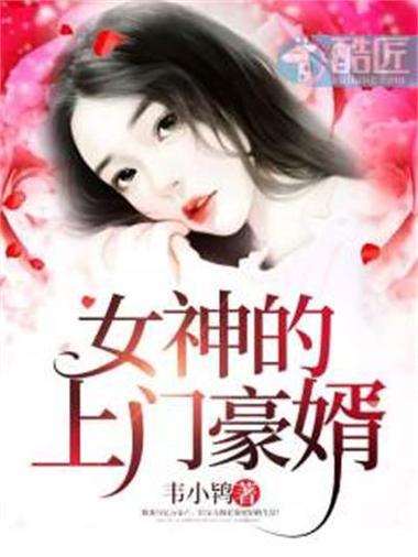 冰山美女的上门赘婿游戏截图