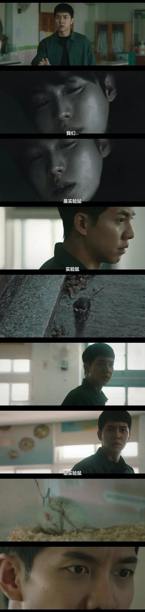 窥探百科游戏截图