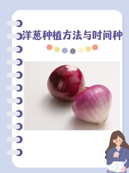 洋葱免费阅读更新时间缩略图