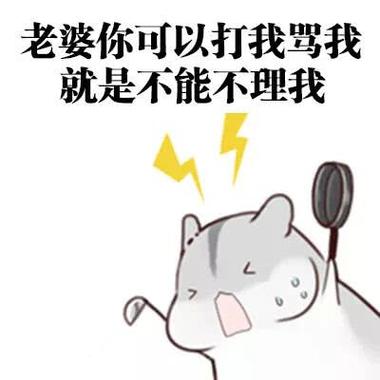 我直接叫老婆表情包游戏截图