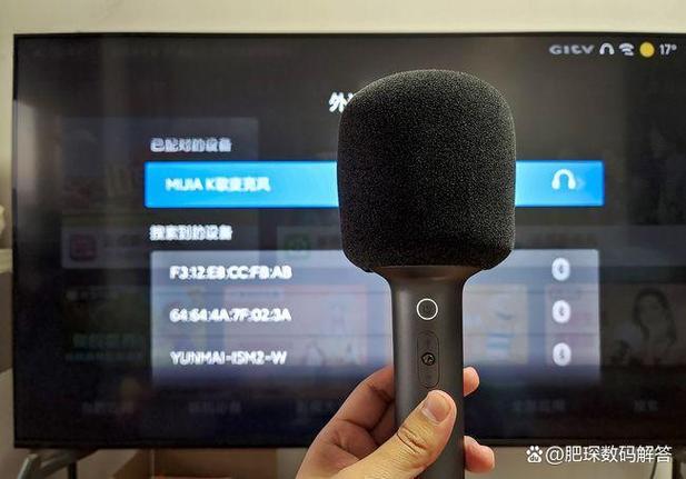 功放没有麦克风接口怎么接麦克风游戏截图