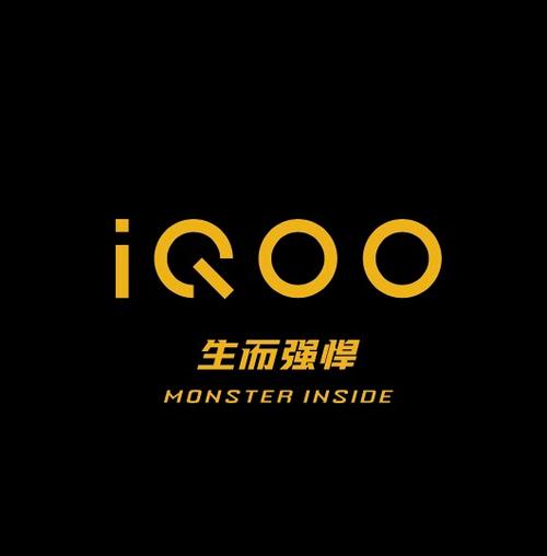 iqoo推荐哪个型号缩略图