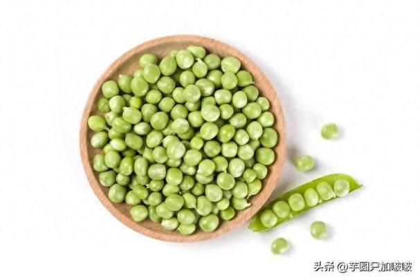 青豌豆和黄豌豆的区别缩略图