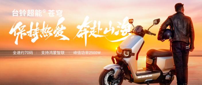 台铃电动车连接手机缩略图