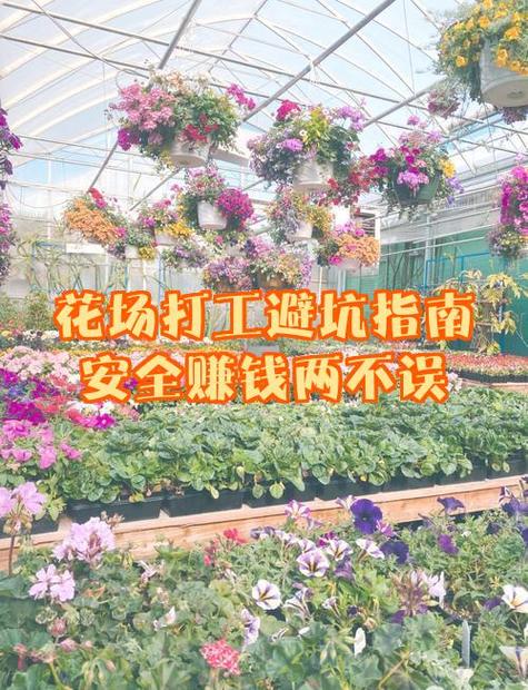 工厂打工打螺丝挣钱吗缩略图