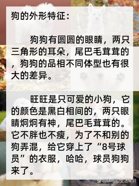 狗的特点有哪些游戏截图