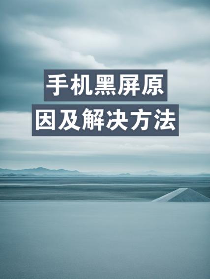苹果13突然黑屏缩略图