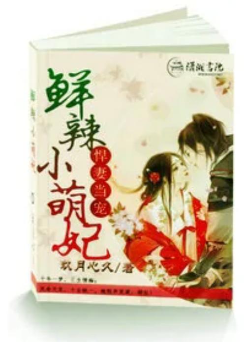 新第三小说鲜辣缩略图