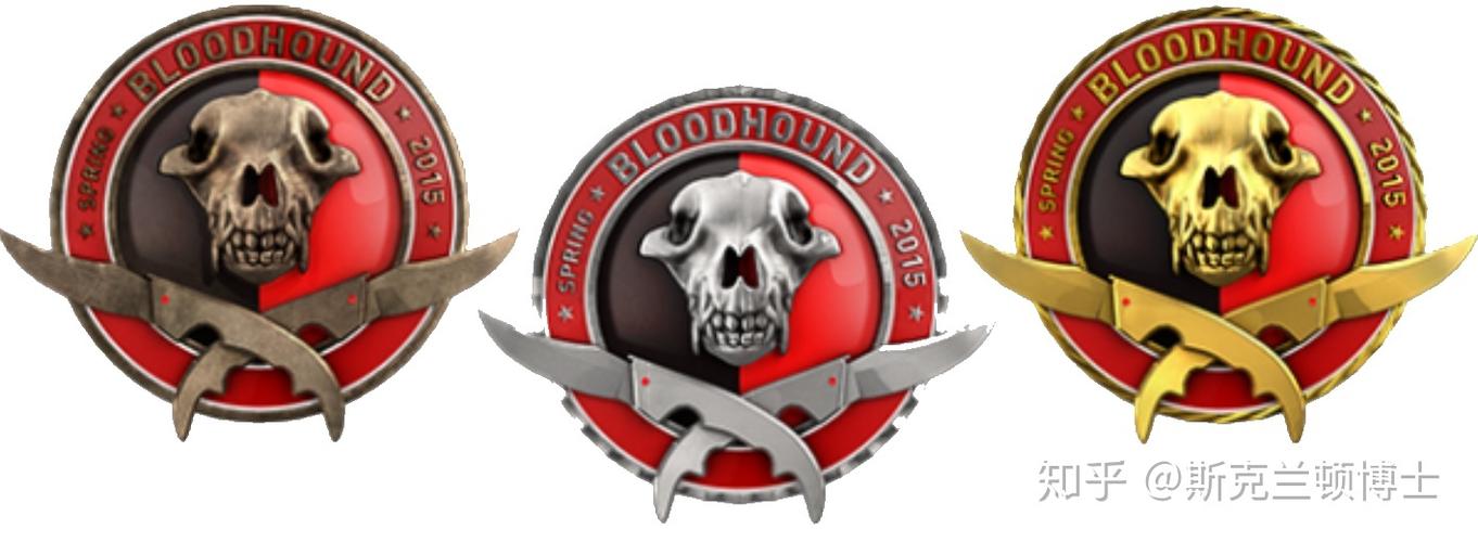 csgo大行动勋章图标