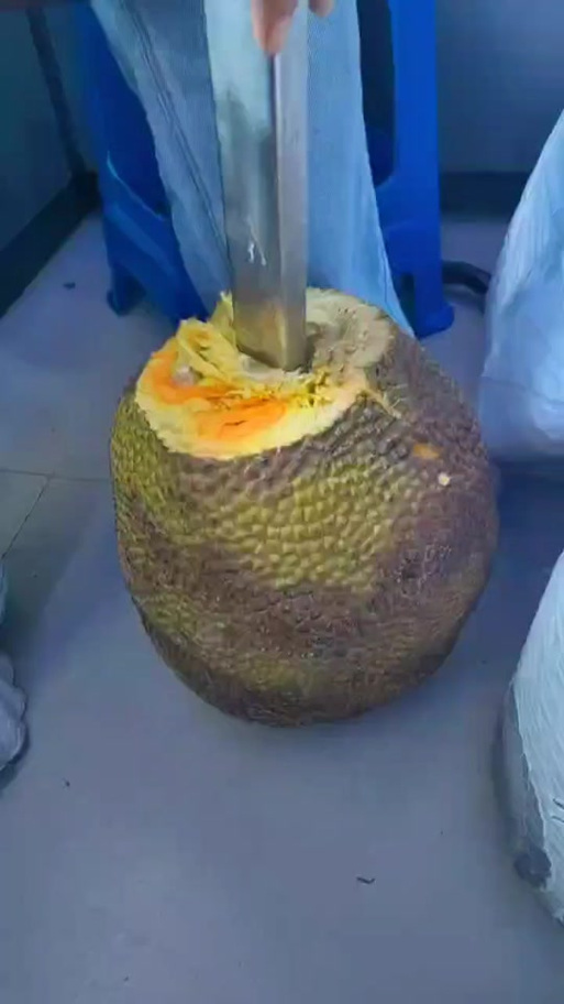10斤菠萝蜜能剥出几斤肉缩略图
