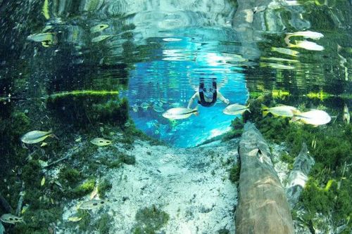 如何解决鱼缸水浑浊游戏截图