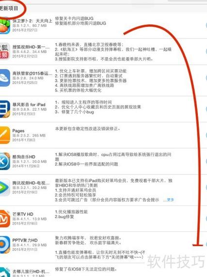 正在准备ipad以进行软件更新游戏截图
