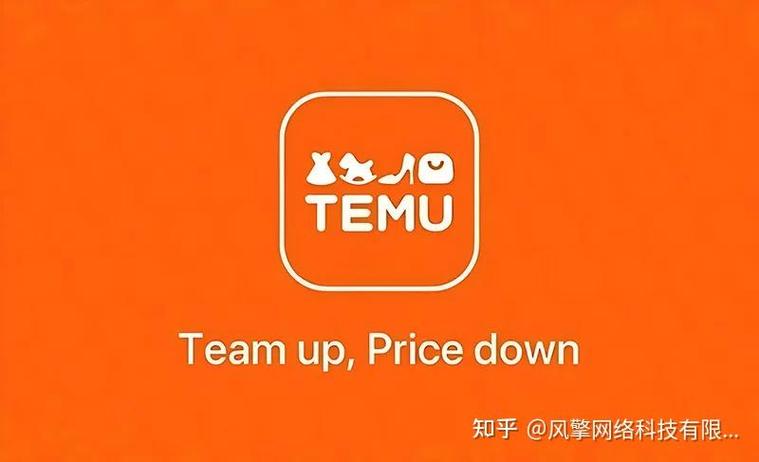 team跨境电商缩略图