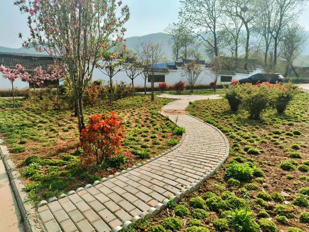 农村有空地适合做什么项目缩略图