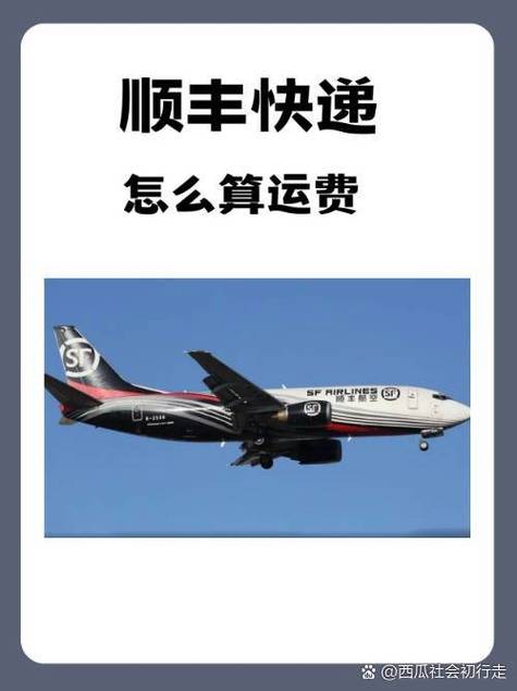 顺丰速运和快运哪个更快缩略图