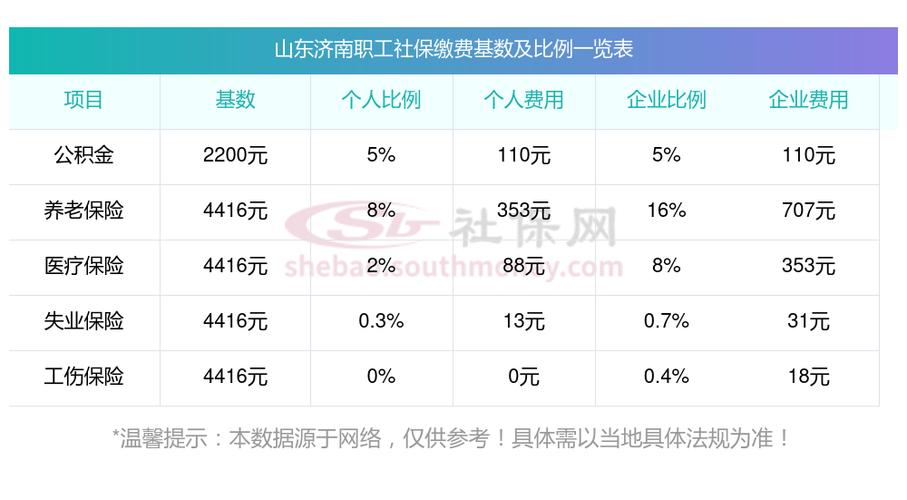 山东省税务社保费缴纳缩略图