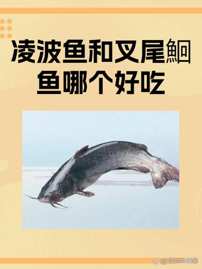 免鱼是什么鱼游戏截图