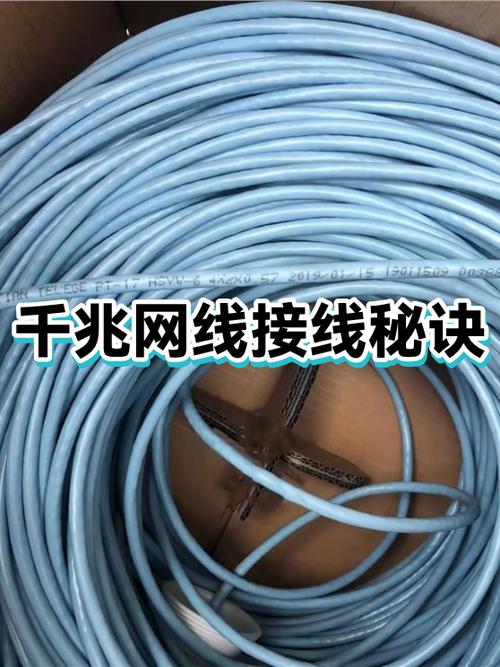 千兆宽带要用什么网线游戏截图