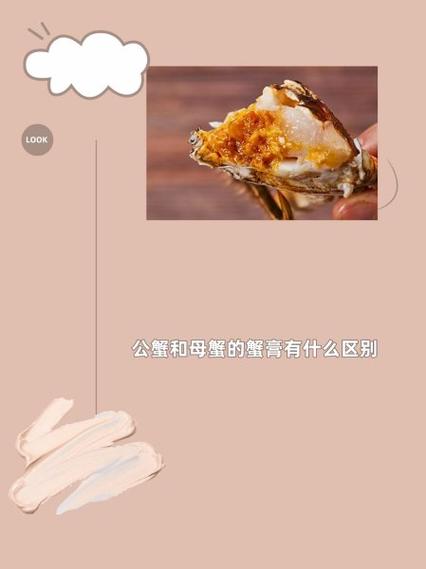 螃蟹黑色的膏是什么东西缩略图