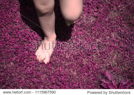 PURPLE官网下载入口图标